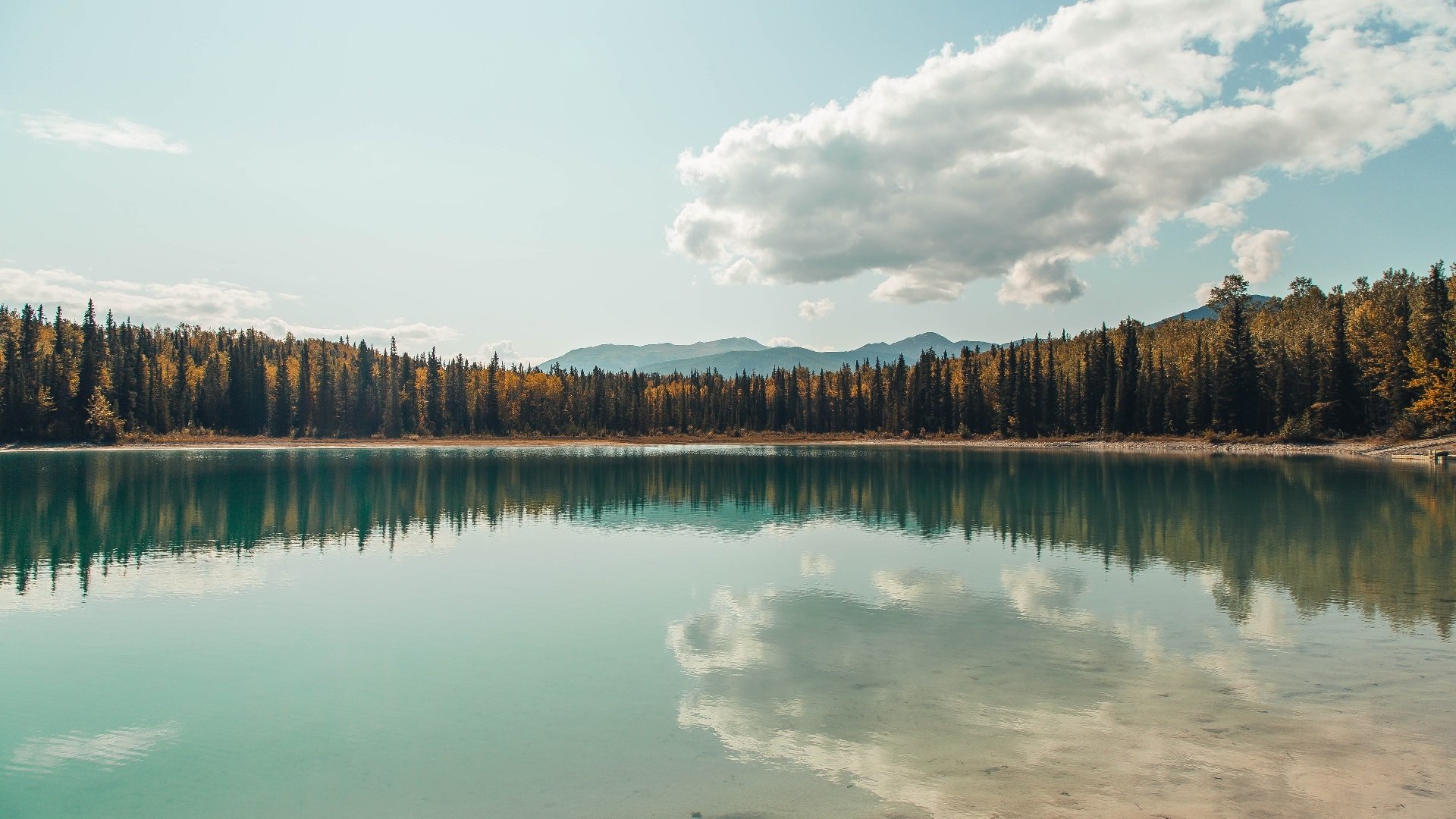 绿茵涡轮增压，当哥伦比亚雄鹰在赛道上智利对手