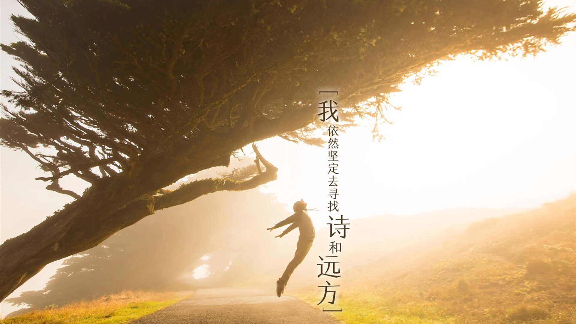 巴塞罗那陨落之夜，皮克的史诗纪录与马赛的单节屠戮